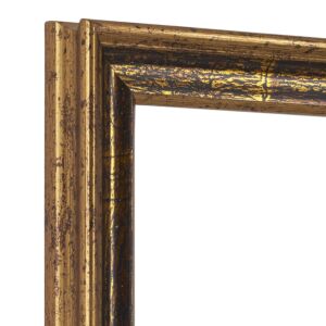 900-032 Klassieke Fotolijst – Geoxideerd Goud - Zwart