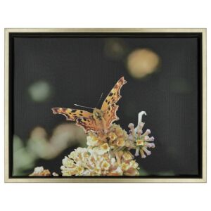 500-003 Baklijst Spazzo Bronzo - Canvaslijst - Geborsteld Brons met Goud, 60x70cm