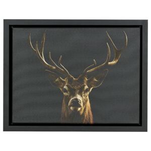 500-024 Baklijst 3D Wood - Black Oak - 4,3 cm diep, 24x30cm