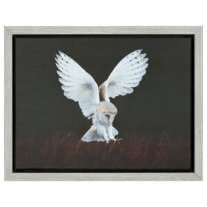 500-020 Baklijst 3D Wood - Light Gray - 4,3 cm diep, 24x30cm