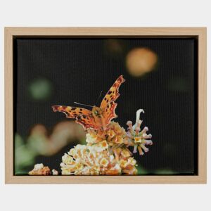 500-021 Baklijst 3D Wood - Light Oak - 4,3 cm diep, 24x30cm