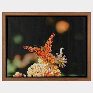 500-022 Baklijst 3D Wood - Warm Walnut - 4,3 cm diep, 24x30cm
