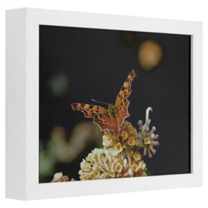 550-005 Fotolijst - Wit met zichtbare houtnerf - 7 cm hoog profiel, 21x29,7cm(a4)