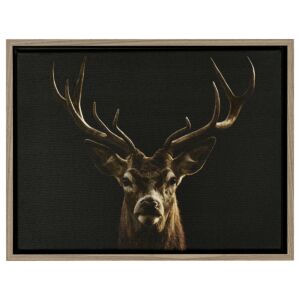 35035-wal Baklijst Walnoot - Canvaslijst - Zwart met walnoot fineer