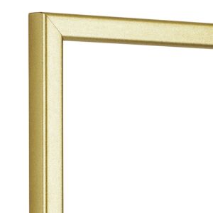 550-045 Fotolijst - Goud - Afgerond profiel