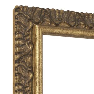 900-142 Ornament Fotolijst – Antiek Goud