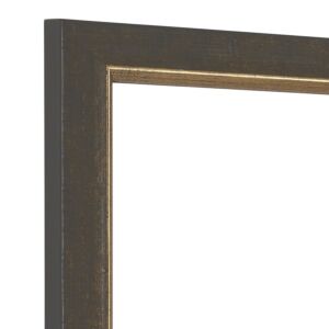 250-022 Fotolijst – Taupe met Goud - Fraai reliëf 