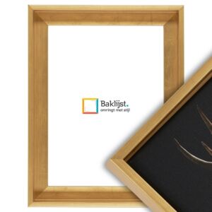 900-100 Baklijst Alto - Bladgoud - 4 cm diep profiel