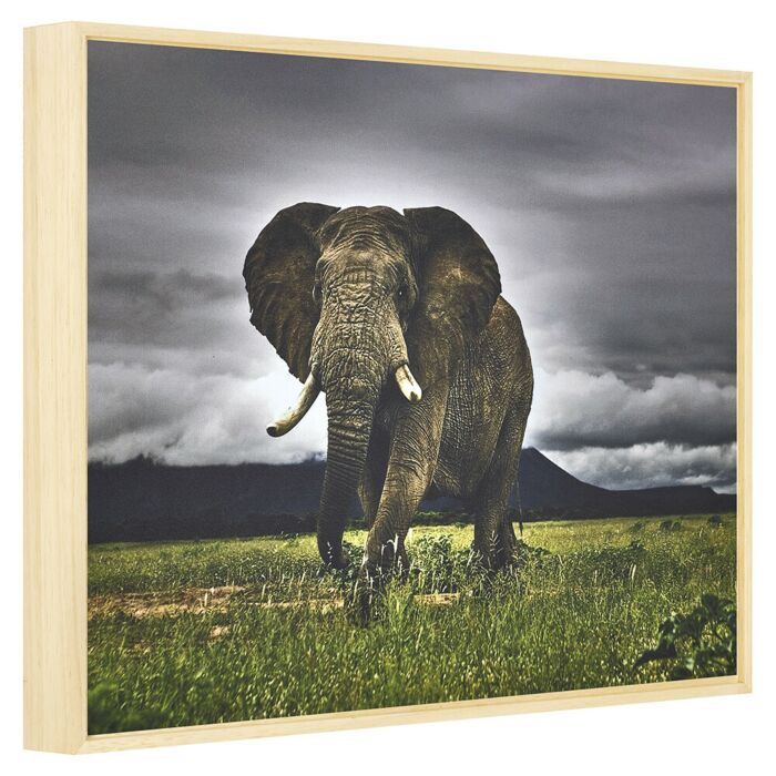 25040-RAW Dibond Blank - Onbewerkt - 4 cm hoog - Paneellijst